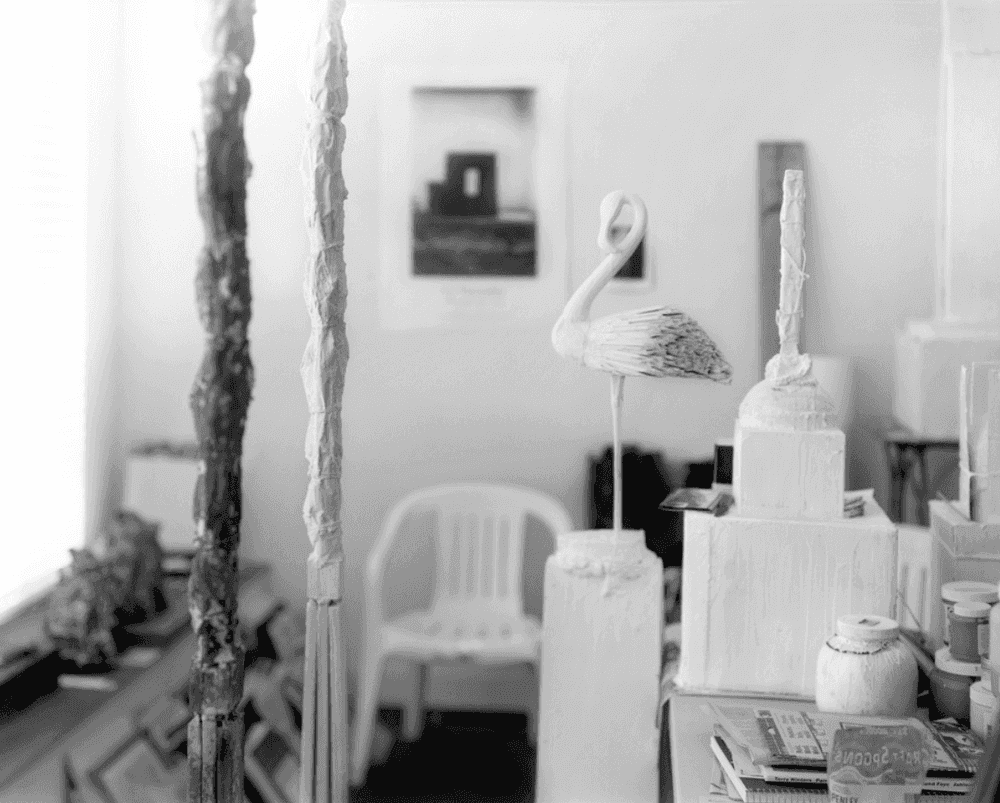 Sally Mann, ‘Remembered Light, Untitled (Flamingo Profile)’, 2012, Print, Archival pigment print, null,