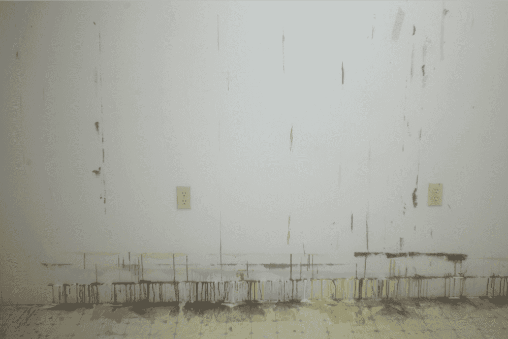 Sally Mann, ‘Remembered Light, Untitled (Wall Drip)’, 2012, Print, Archival pigment print, null,