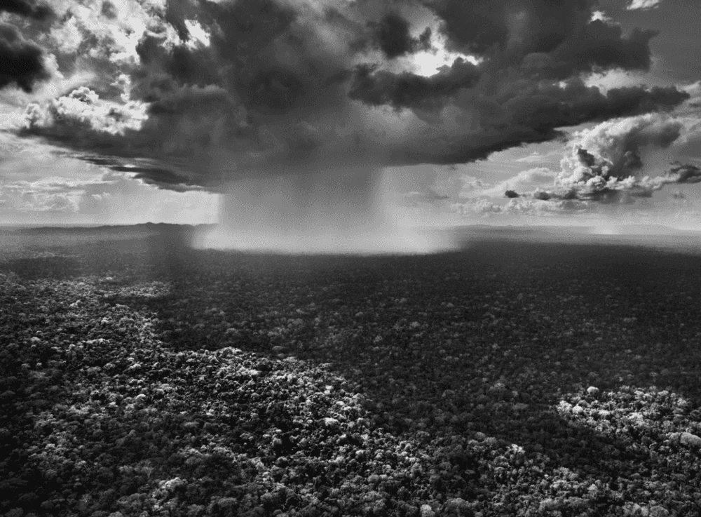 Sebastiao Salgado, ‘Serra do Divisor National Park, State of Acre, Brazil’, 2016, Print, Platinum-Palladium Print, null, Dated