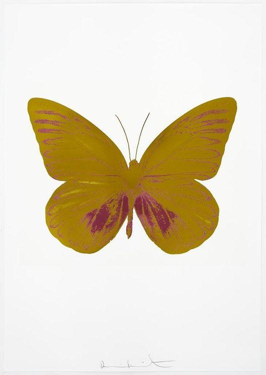 The Souls I - Oriental Gold - Loganberry Pink