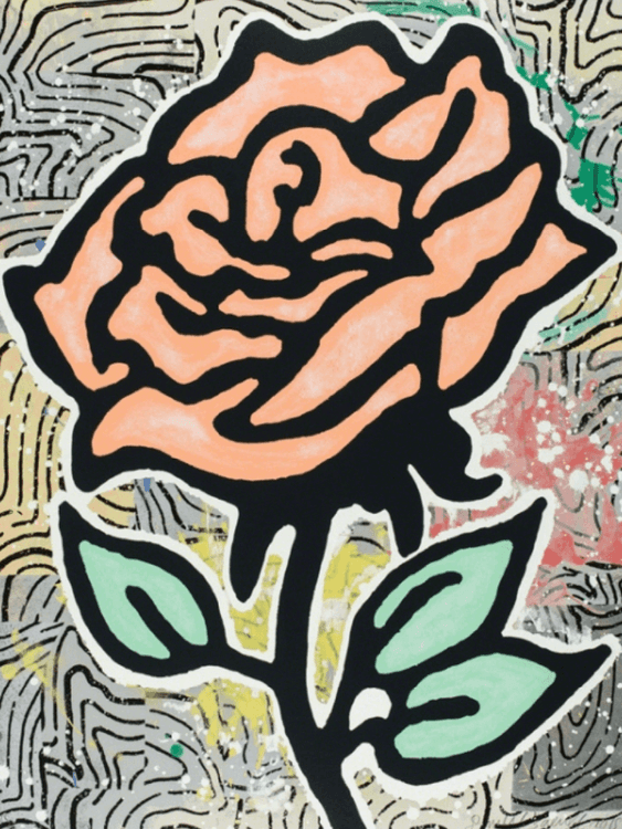 Peach Rose