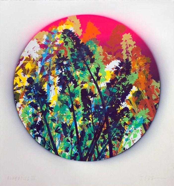 Bluebells 03