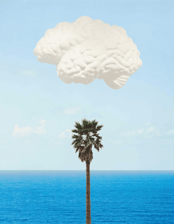Brain Cloud (With Seascape and Palm Tree)