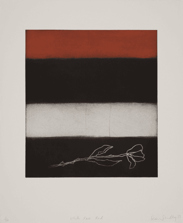 White Rose Red
