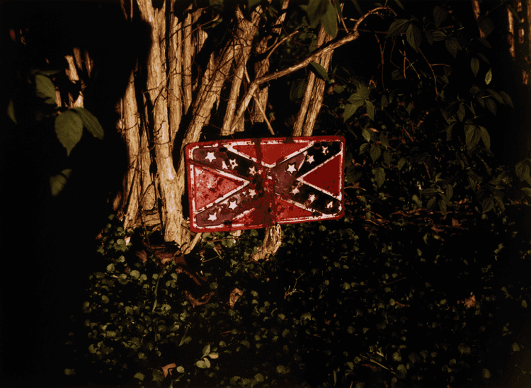 Rebel Flag License Plate on Tree